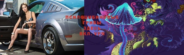spice Алзамай